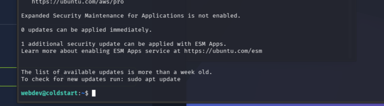 SSH login successful as webdev